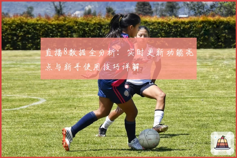 直播8数据全分析：实时更新功能亮点与新手使用技巧详解